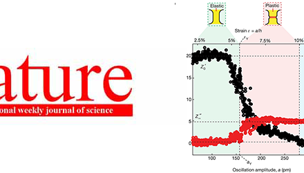A nanoscopic tuning fork to probe the atomic scale