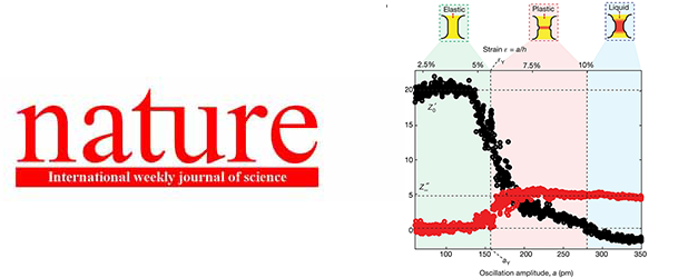 A nanoscopic tuning fork to probe the atomic scale