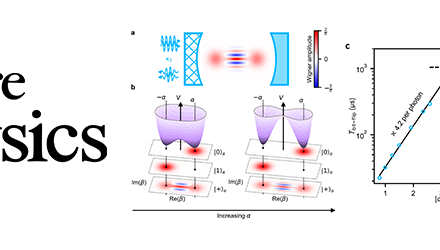 Exponential suppression of bit-flips in a qubit encoded in an oscillator