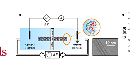 Mechanically activated ionic transport across single-digit carbon nanotubes