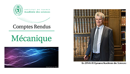 Comptes-Rendus de l’Académie des Sciences: Special issue dedicated to Yves Couder