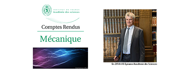 Comptes-Rendus de l’Académie des Sciences: Special issue dedicated to Yves Couder