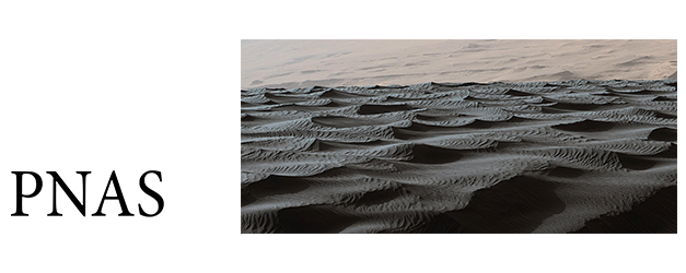 Sand transport and geomorphology on the surface of Mars