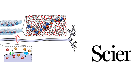 An artificial ionic neuron for tomorrow’s electronic memories