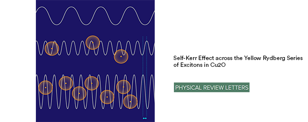 Self-Kerr Effect across the Yellow Rydberg Series of Excitons in Cu2O