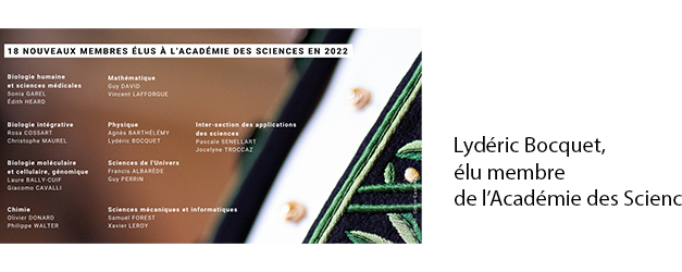 Lydéric Bocquet elected member of the Académie des Sciences
