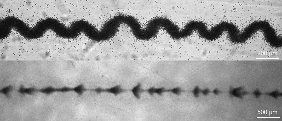 drops_waves