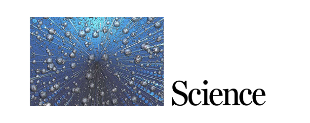 Topological phonons: Where vibrations find their twist