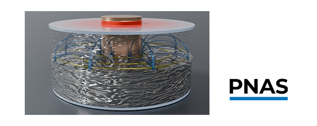 Liquid thermoelectricity