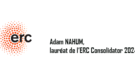 Adam NAHUM, winner of the ERC Consolidator 2024