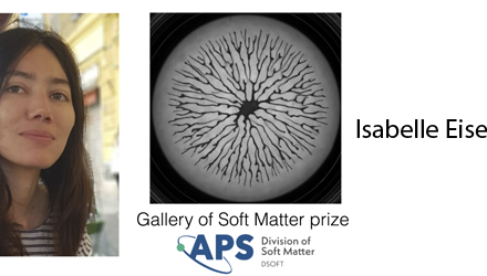 APS Gallery of Soft Matter 2025 prize to Isabelle Eisenmann