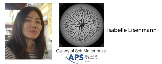 Isabelle Eisenmann reçoit le prix Gallery of Soft Matter 2025 de l’APS