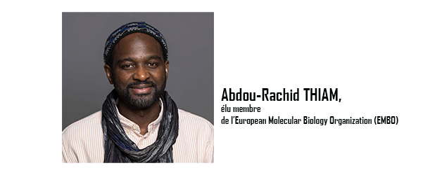 Abdou-Rachid Thiam, élu membre de l’European Molecular Biology Organization (EMBO)