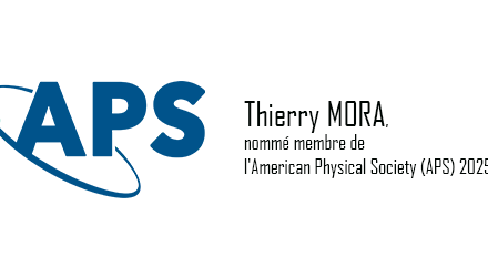 Thierry Mora named a 2025 American Physical Society (APS) Fellow