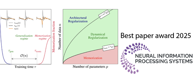 Why diffusion models in generative AI don’t memorize: The role of implicit dynamical regularization in training