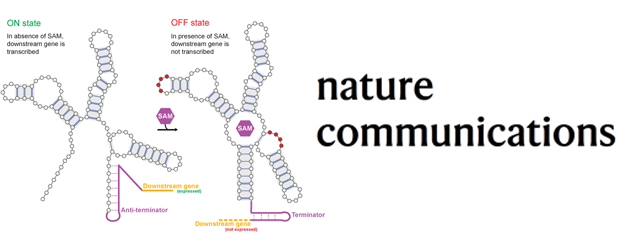 Conception de commutateurs moléculaires à ARN à l&rsquo;aide de machines de Boltzmann restreintes