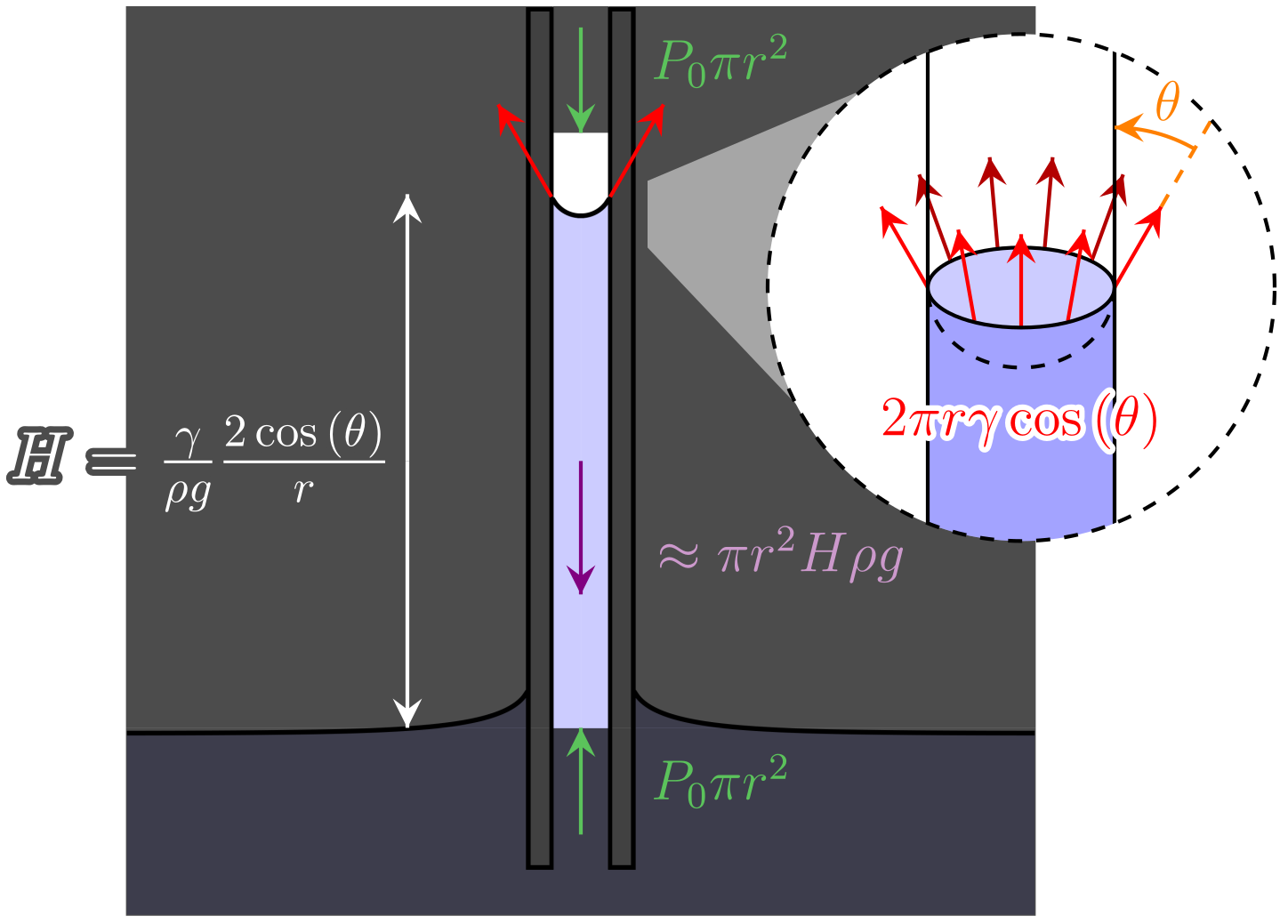 Diagram explaining Jurin's law