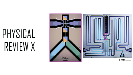 Dissipation de quartets d’excitations dans un circuit supraconducteur