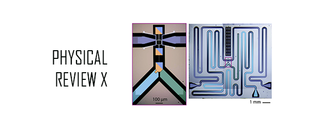Dissipation de quartets d’excitations dans un circuit supraconducteur