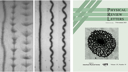 Un article de l’équipe Physique Multi-échelle du Vivant dans la collection de l’année de Physical Review Letters !